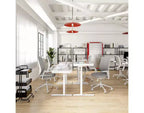 Armadio contenitore mobile, 91 x 46 x 183 cm